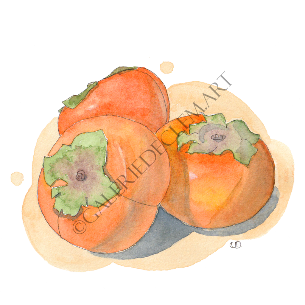 Kaki. Aquarelle sur papier 300g/m2 - 13x13 cm