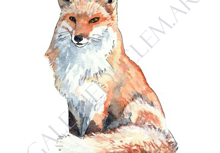 Renard