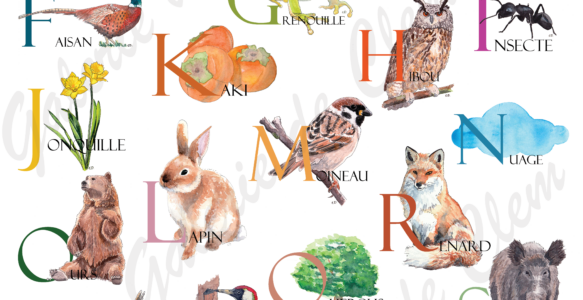 ABCDAIRE de la forêt